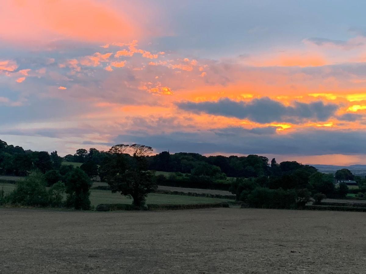 Farmhouse Studio Near Shrewsbury Grinshill 外观 照片