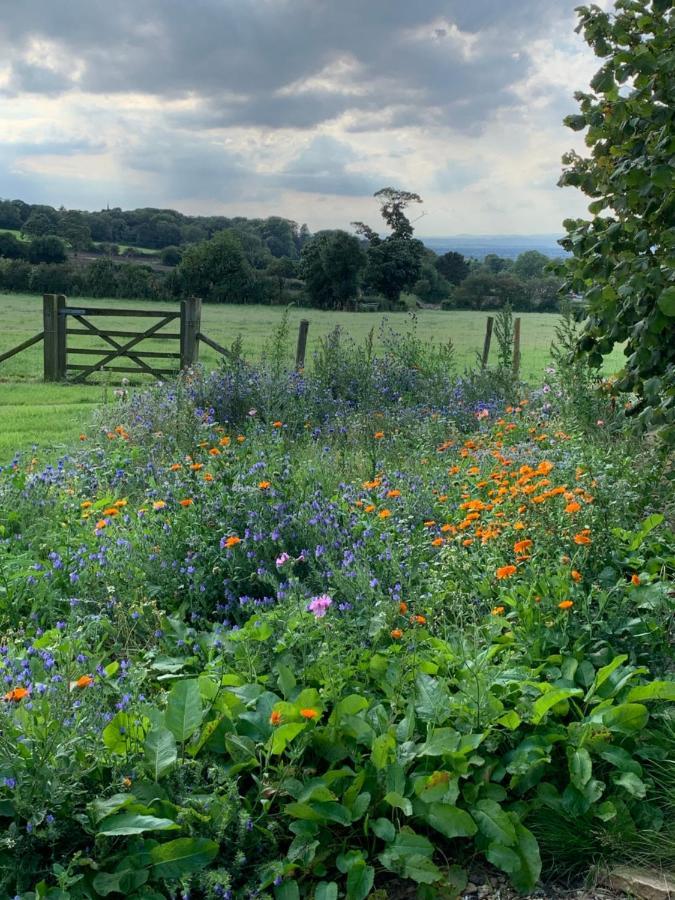 Farmhouse Studio Near Shrewsbury Grinshill 外观 照片